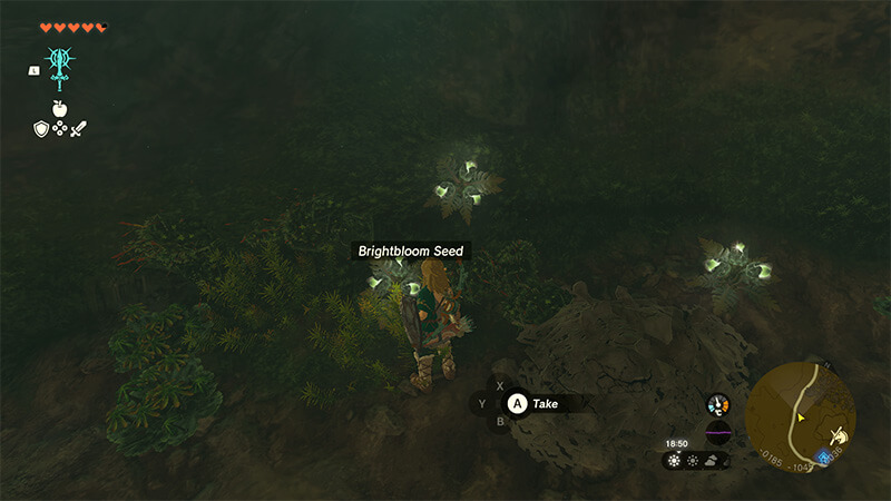 Picking up some Brightbloom Seeds in Zelda Tears of the Kingdom.
