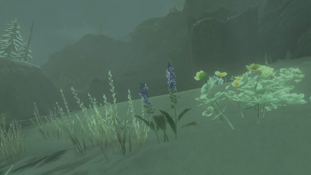 How To Get Cool Safflina in Zelda Tears of the Kingdom The Legend of Zelda Tears of the Kingdom Cool Safflina