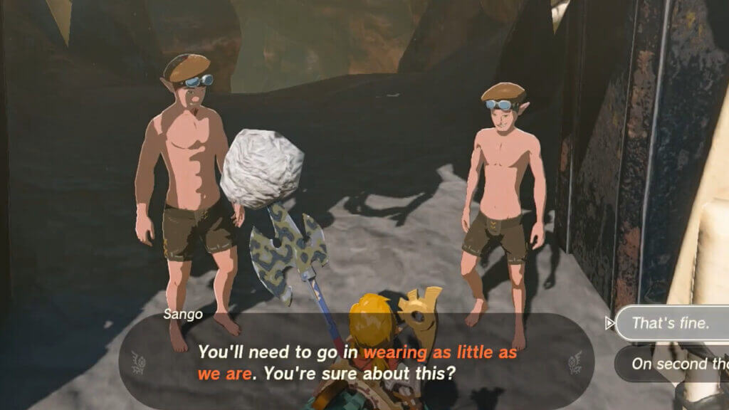 How To Complete For Our Princess! in Zelda Tears of the Kingdom For Our Princess in Zelda Tears of the Kingdom