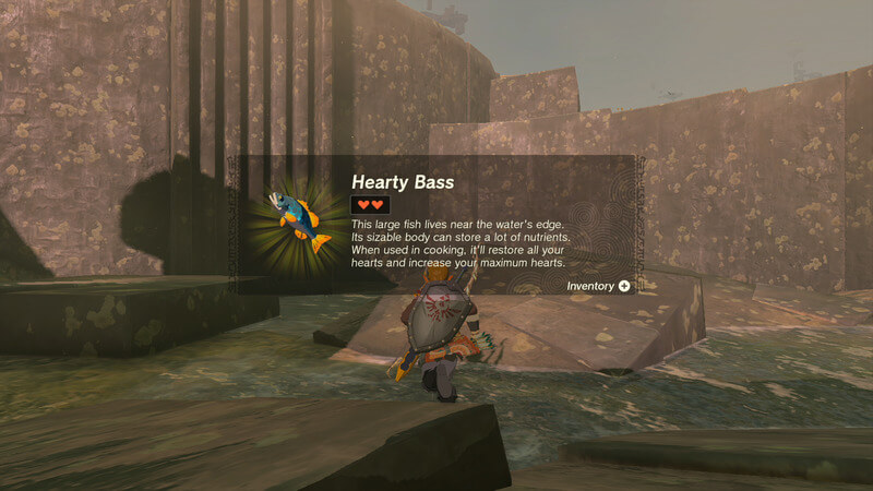 how-to-get-hearty-bass-in-tears-of-the-kingdom