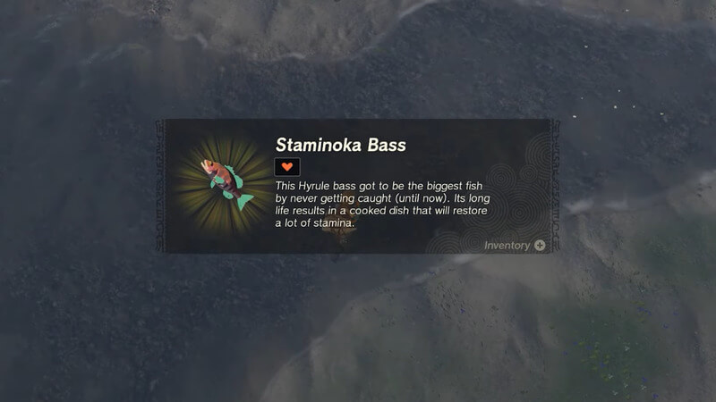 how-to-get-staminoka-bass-in-tears-of-the-kingdom