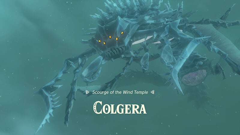 tears of the kingdom colegera