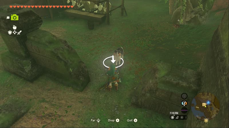 Can you pet the dog in Tears of the Kingdom?