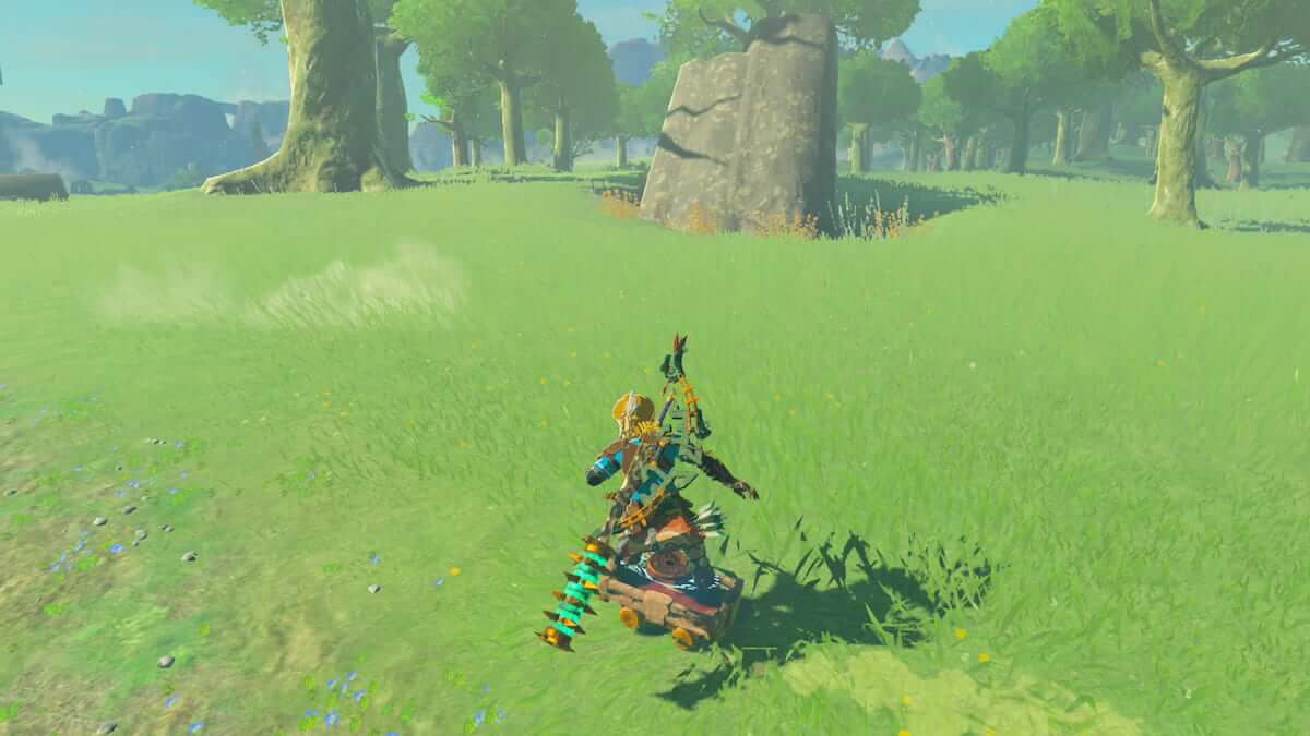 link skateboarding