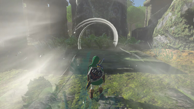 The Owl Protected by Dragons