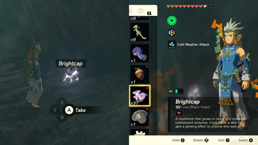 How To Get Brightcaps in Zelda Tears of the Kingdom How to find Brightcap mushrooms in 'The Legend of Zelda: Tears of the Kingdom'