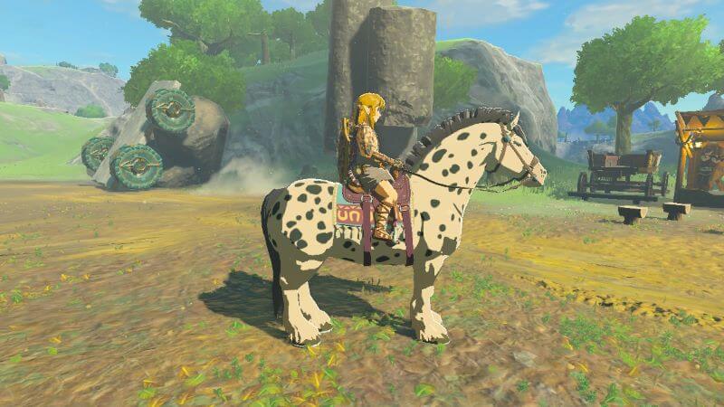 How to find Spot in 'Tears of the Kingdom'