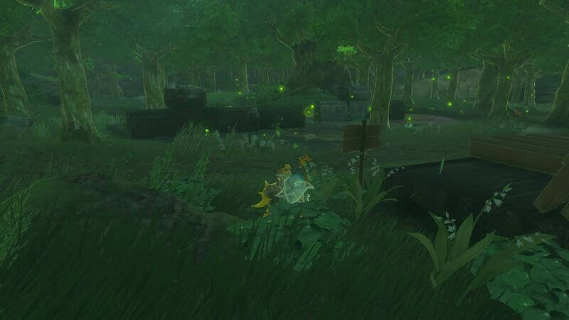 How to catch sunset fireflies for "The Flute Player's Plan"