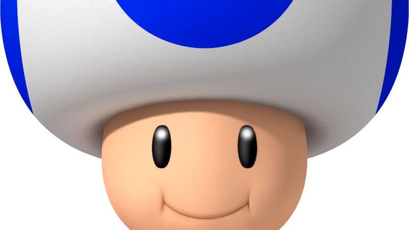 Blue Toad from New Super Mario Bros.