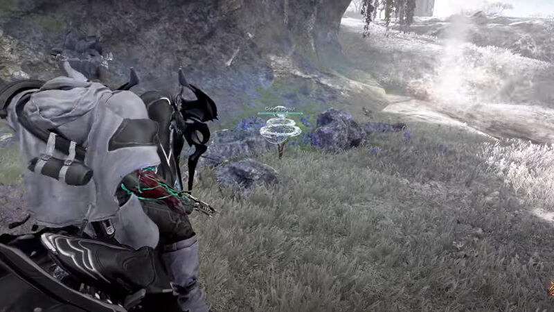 Connla Sprout Warframe