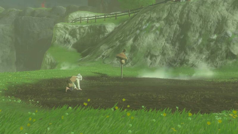 Hateno Farm Uma in Tears of the Kingdom