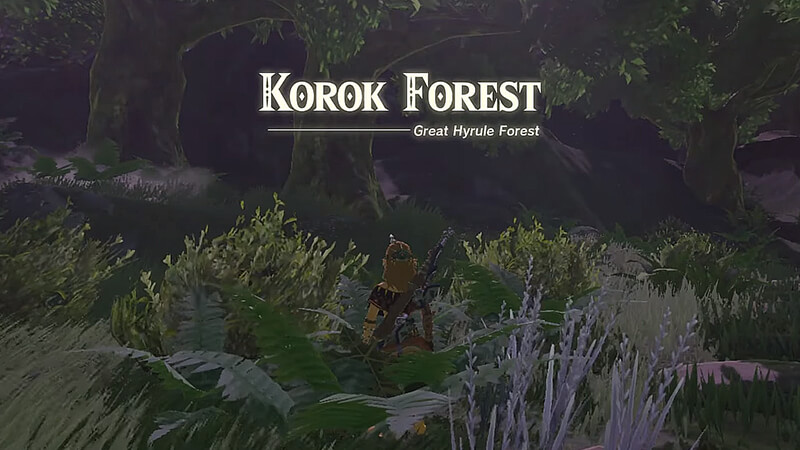 How To Get to the Great Deku Tree