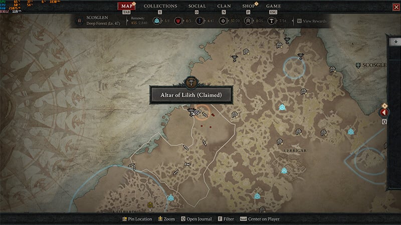 Deep Forest Ancient Woods #1