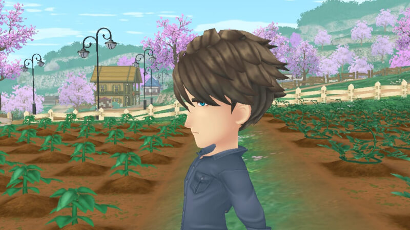 Matthew in Story of Seasons A Wonderful Life