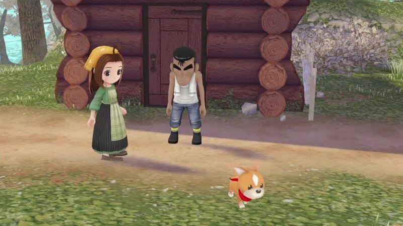story of seasons a wonderful life cecilia