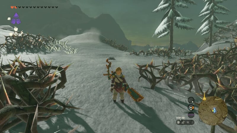 Dry Brambles Tears of the Kingdom