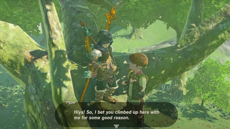 Zelda Tears of the Kingdom Coversation with Pyper