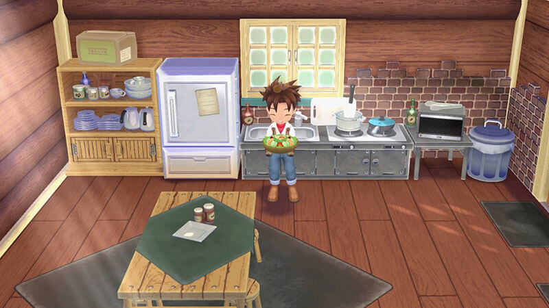Making Recipes in Story of Seasons a Wonderful Life