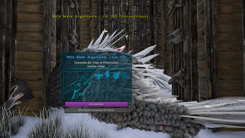 What to Feed an Argentavis in Ark Survival Evolved