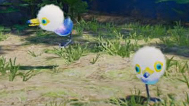 The Baby Snagret is adorable when they are little.