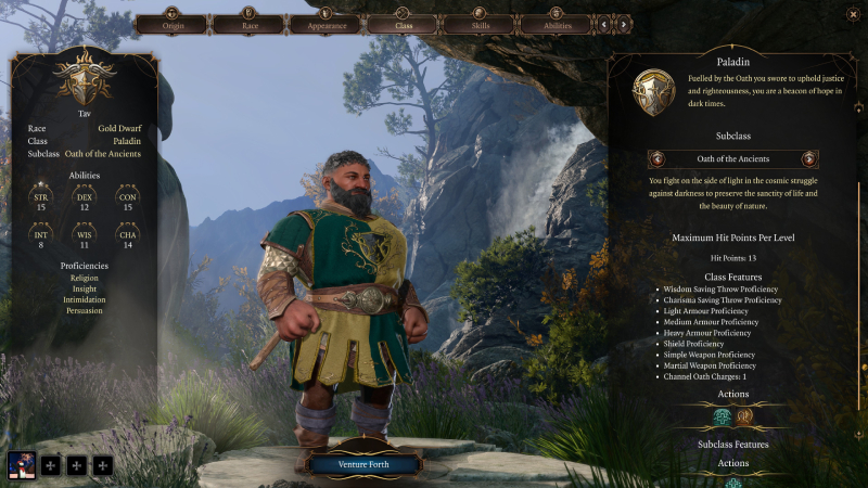 Baldur's Gate 3 Paladin Class