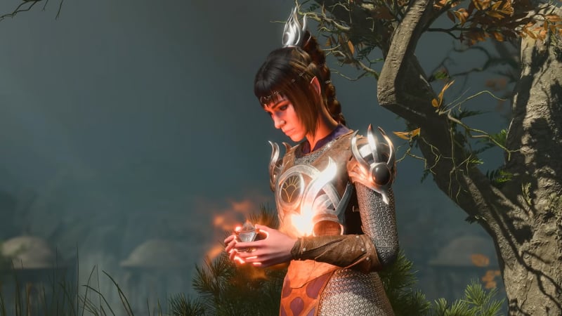 Baldur's Gate 3 Game's Story