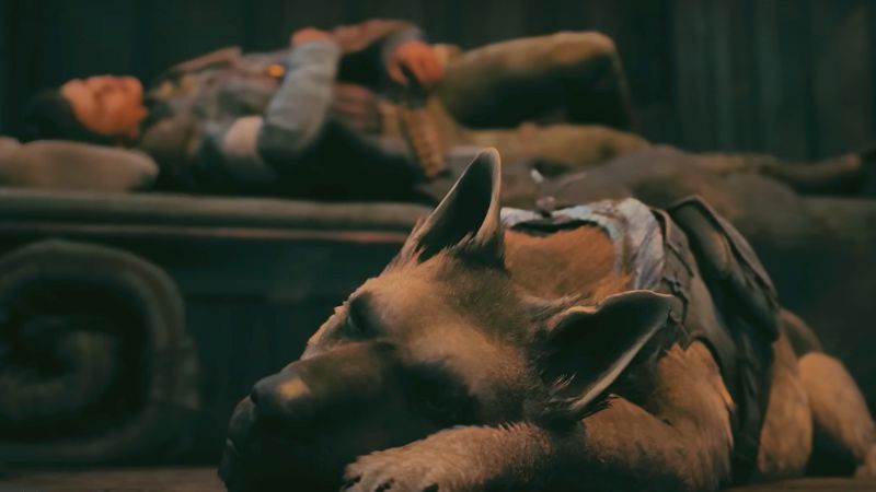 Pet the Dog in Remnant 2