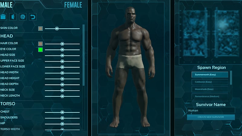 Ark Customization