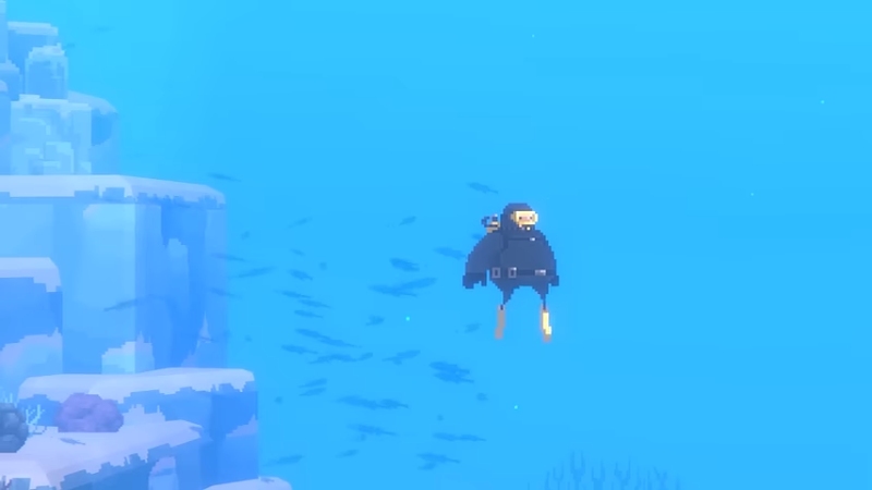 Dave the Diver Net Guide