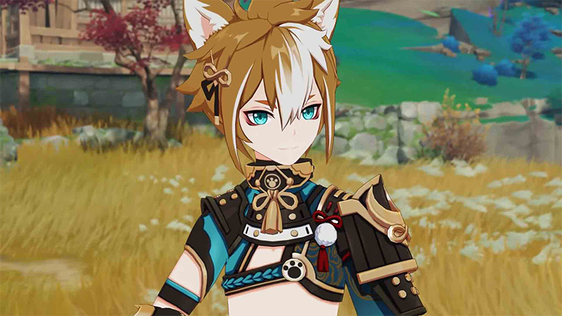 Gorou fills a very specific niche in Genshin.