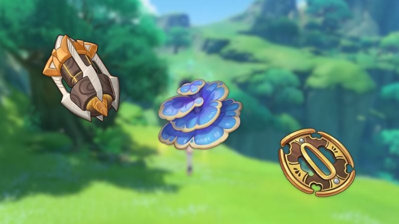 rukkhashava mushrooms