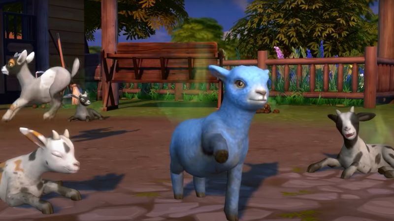 How To Get Sheep in Sims 4