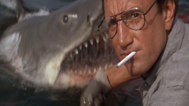 The shark appearing for the first time