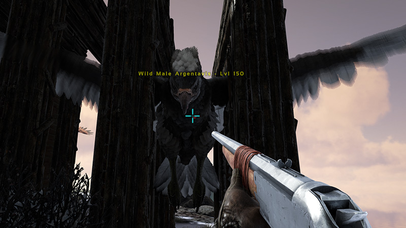 Knocking out an Argentavis in the Northern Islands