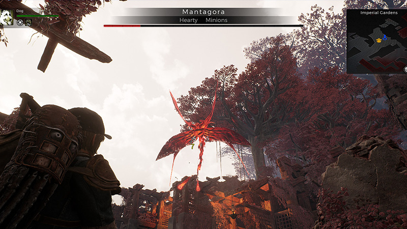 Mantagora Flying Overhead in Remnant 2