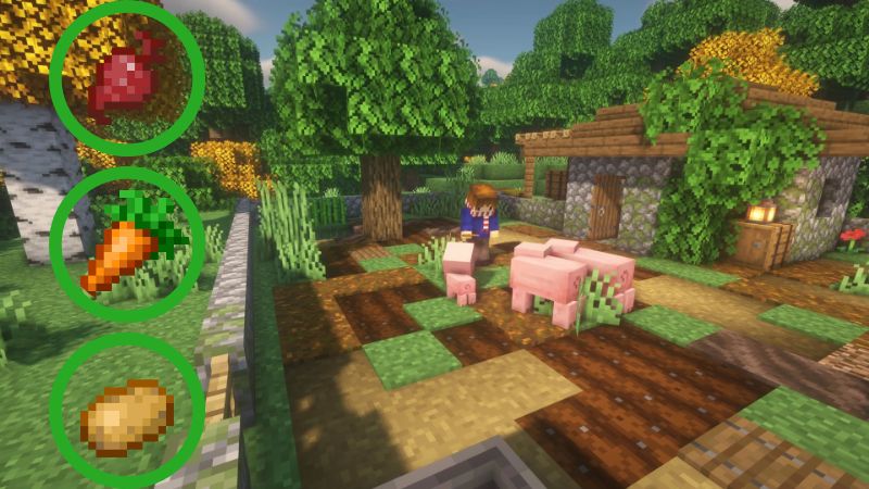 what do pigs in minecraft eat