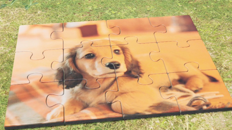 It's great to see Nintendogs in Pikmin 4.