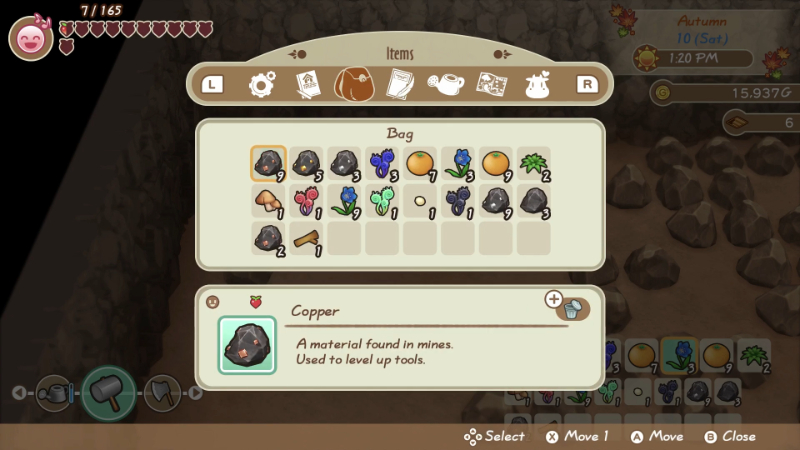 Story of Seasons Friends of Mineral Town bag