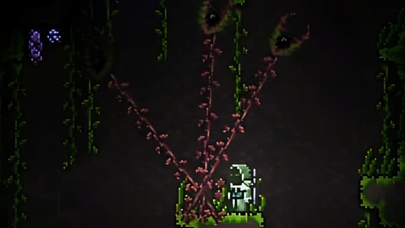 Terraria Vine Man Eaters