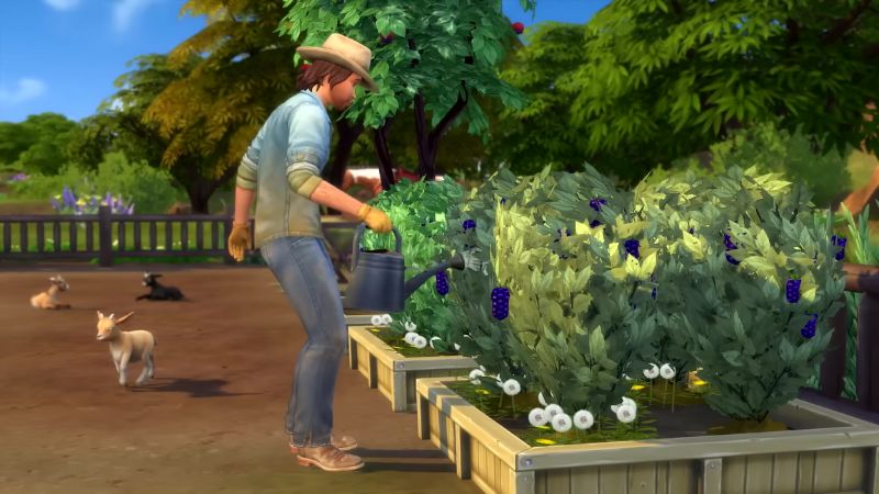 the sims horse ranch expansion