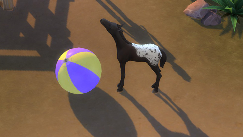 Satisfy Needs to Age Up your horse in The Sims 4