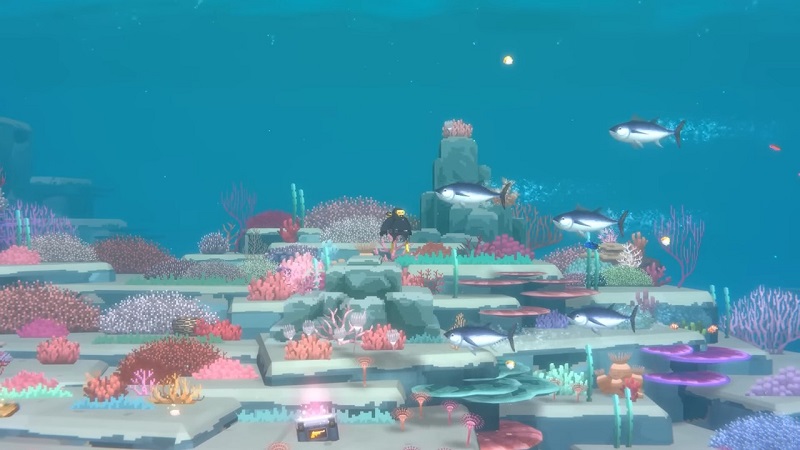 Dave the Diver Baby Whale