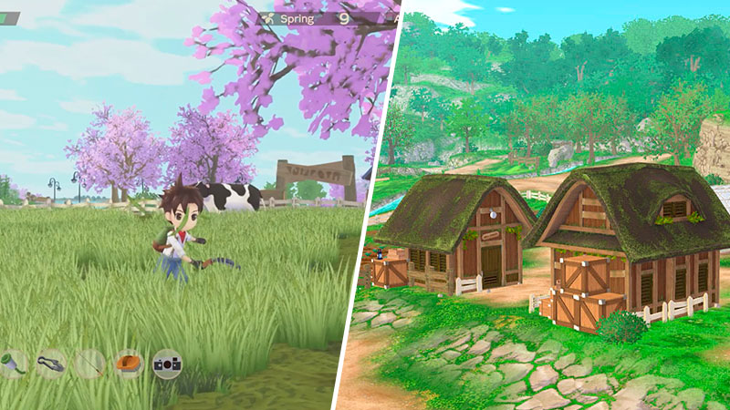 Where to Get Fodder in Story of Season A Wonderful Life