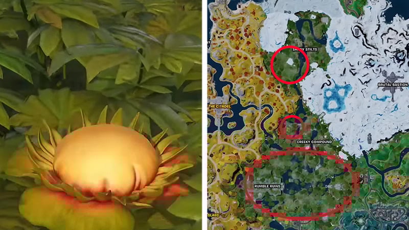 hop flower fortnite locations