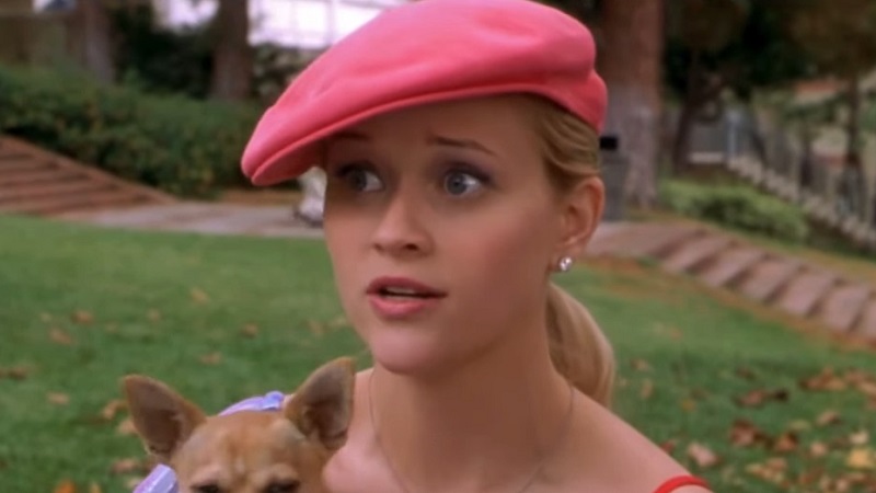 Legally Blonde - Films Like Barbie