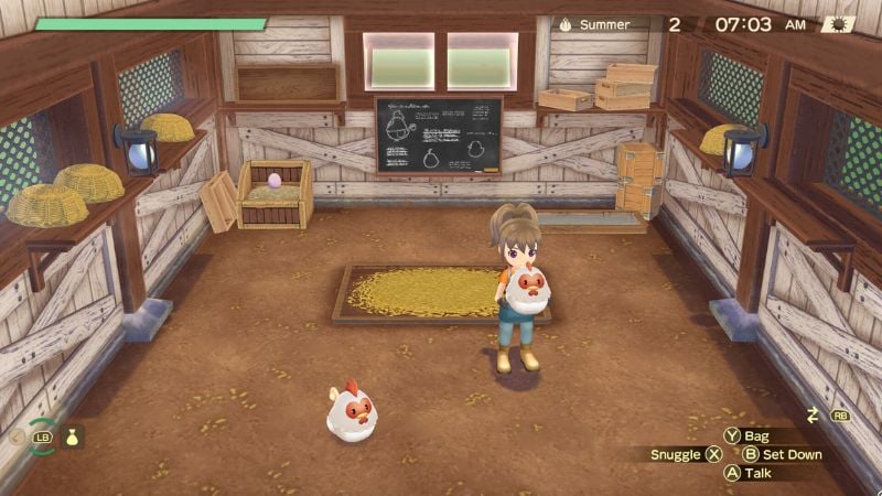 Story of Seasons A Wonderful Life: Animals