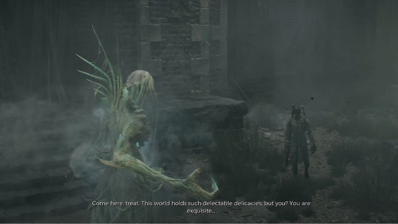 Nightweaver in Remnant 2