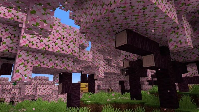 Minecraft Cherry Blossom Grove