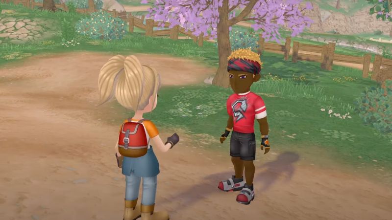 Story Of Seasons A Wonderful Life: Gordy Heart Events