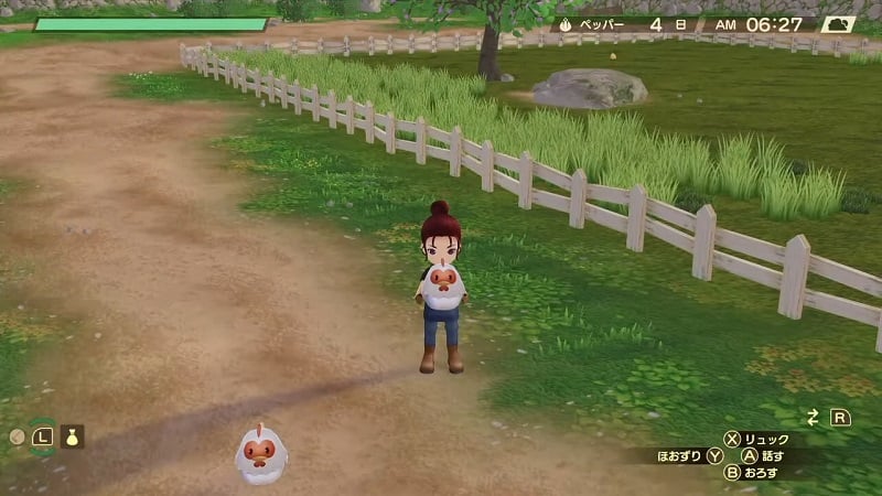 Story of Seasons Where to Buy Bird Food